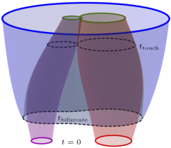The analog of the pair-of-pants picture for MOTSs from our numerical simulation. The tubes traced out by the individual MOTSs (colored red and purple) touch and penetrate each other. When the individual black holes get sufficiently close a common horizon is formed, which bifurcates into an inner branch (colored green) and an outer branch (colored blue). The outer branch settles down to the final equilibrium state, while the inner branch merges with the individual horizons precisely at the time when they touch.
