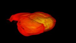 Fig. 5: © T. Dietrich (Friedrich-Schiller-University Jena and Max Planck Institute for Gravitational Physics); BAM collaboration