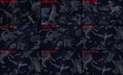 Positions of the nine gamma pulsars (Pletsch et al., ApJ), with stellar constellations in the background.