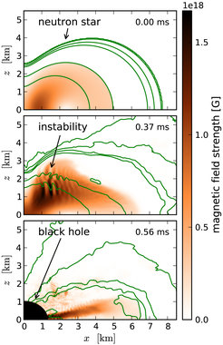Eine Instabilität im Innern eines hypermassiven Neutronensterns kann enorme Magnetfeldstärken hervorrufen, bevor der Stern zu einem Schwarzen Loch kollabiert.