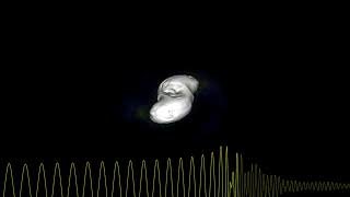 This movie shows the final stages of the inspiral and merging of two neutron stars.