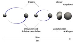 Die drei Phasen der Kollision schwarzer Löcher. Nach einem anfänglichen Umrunden bei gleichzeitiger Annäherung folgt die Verschmelzung. Das neu entstandene noch asymmetrische schwarze Loch strahlt dann kurzfristig abklingende Gravitationswellen ab.