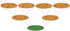 from “Cosmological consequences of a principle of finite amplitudes” (Phys. Rev. D 103, 103525 (2021))