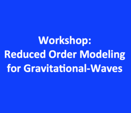 Workshop: Reduced Order Modeling (ROM) for Gravitational-Waves