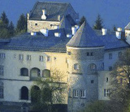 Conference in Schloss Ringberg: Gravitational wave searches and parameter estimation in the era of detections